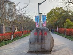 -高东镇樱花园