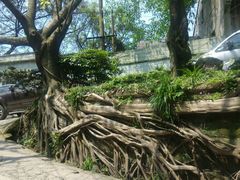 南门入口-佛图关公园