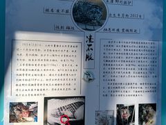 -青藏高原野生动物园