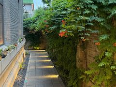 -庐灶江南·江南菜·四合院Bistro(东直门雍和宫·原华侨宾馆店)
