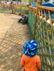 -萌宠亲子动物乐园(槐房万达店)