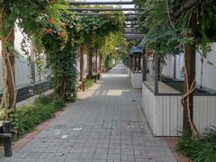 -白洋淀景区