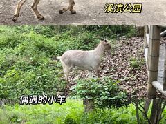 -楠溪江风景名胜区