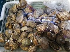 -老虎滩船说·海胆水饺·大连海鲜(老虎滩店)