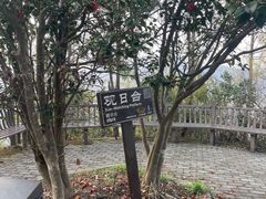 -雁荡山风景名胜区