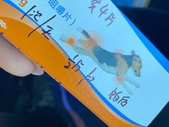 -中国农业大学动物医院