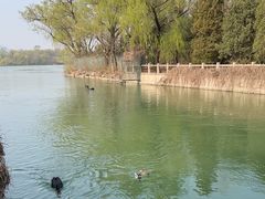 -颐和园