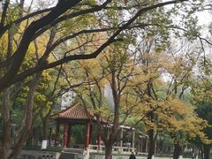 -山东大学(趵突泉校区)