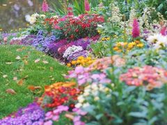 -上海共青森林公园