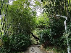 -人民公园(罗湖区)