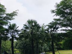 -味餐厅·海鲜·火锅·自助餐