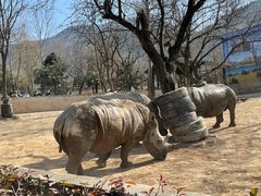 -西安秦岭野生动物园