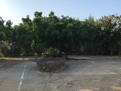 -涠洲岛-圣母堂