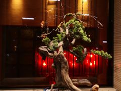 -南堂館川菜文化餐厅(天府店)