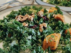 -Wagas沃歌斯(汇智店)