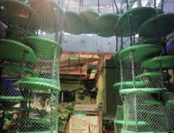 -恐龙探索乐园(磁器口店)