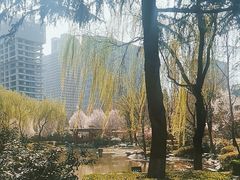 -木塔寺遗址生态公园