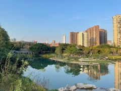 -四海公园(南山区)