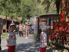 -武陵山森林公园