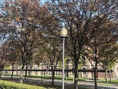 -浙江大学(海宁国际校区)