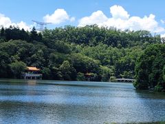 -深圳仙湖植物园