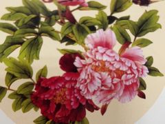 -奥龙堡游泳馆(广纸店)