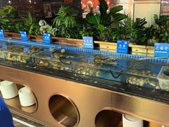 -鼎香缘海鲜自助火锅烤肉(锦辉购物广场店)