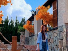 -Blue Concept Cafe&Farm·關於藍