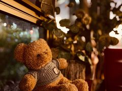 -咖法森林·咖啡  酒吧(天河店)