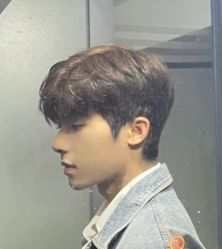 -崇尚GAVIN STYLE臻选