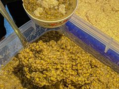 -叁拾壹克饺子·东北菜(国贸店)