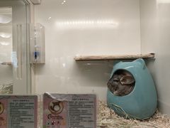 -龙猫仔乐园(惠福东路店)