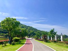 -龙寺生态园