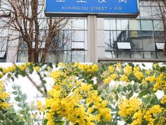 -成都宽窄巷子奎星楼街亚朵X酒店