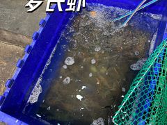 -凤城康记饭店