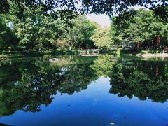 -望江楼公园