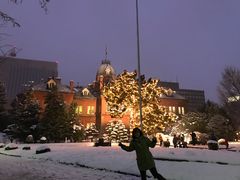 -北海道厅旧本厅舍(旧本庁舎)