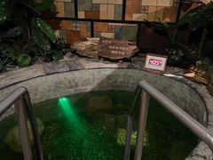 -泉城欧乐堡戏水湾艺术养生温泉