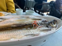 -翡翠江南(国贸商城店)