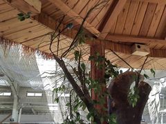 -南宫五洲植物乐园