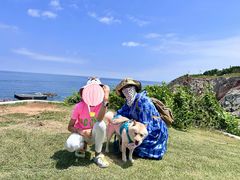 -养马岛旅游度假区