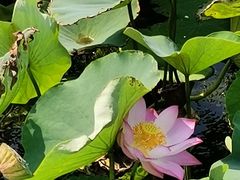 -天津金元宝滨海农产品交易市场(共发大道)