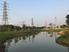 -王借岗森林公园