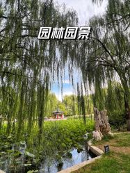 -宝馨月月子中心(友谊医院店)