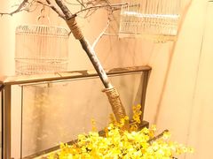 -小厨娘淮扬菜(诚信大道店)