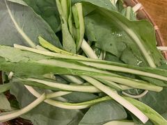 -攀枝花野菜铜火锅(万科凯德店)