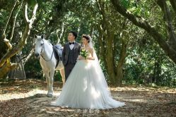 点击看大图 -花漾摄影优选工作室(东莞原创作品店)