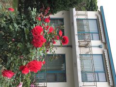 iphone_upload_pic-上海市保健医疗中心(华东疗养院)