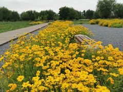 -汉长安城未央宫国家考古遗址公园