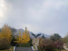 -北京鹫峰国家森林公园